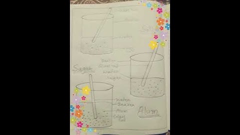 (CLASS 9 PRACTICAL )To prepare a true solution of common salt ,sugar and alum in water