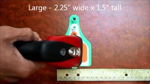 Plastic Ear Tags with Data Matrix Laser Etched Codes - National Band and Tag Company