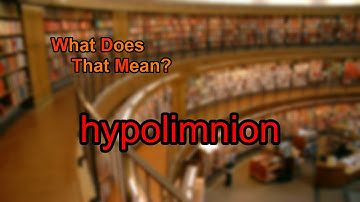 What does hypolimnion mean?