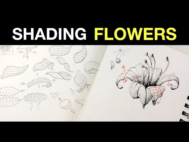 How to Shade Flowers with a Pencil — Katrina Crouch | Blushed Design