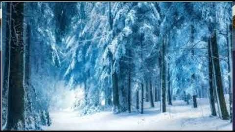 (واسروا قولكم أو اجهروا به ) تلاوة رائعة للشيخ وديع اليمني