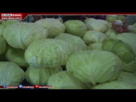 Video: Kışın Sağlıklı Sebzelerin Yeşil Konveyör Bandı