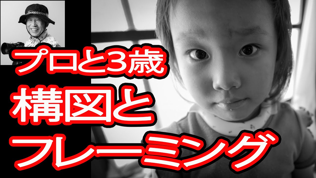 プロと3歳写真家】構図とフレーミング #赤外線フィルム #絵本