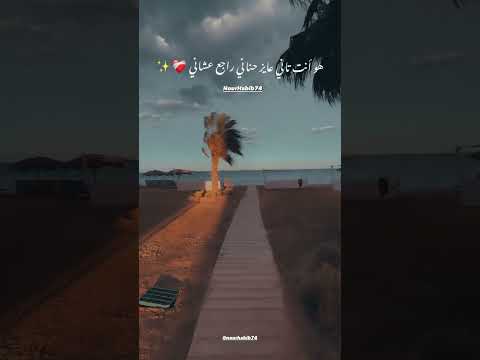 مكس تامر عشور و تامر حسني هو انت تاني