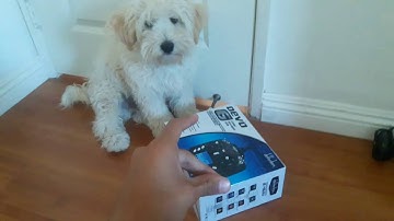 Devo 7e transmitter unboxing and review