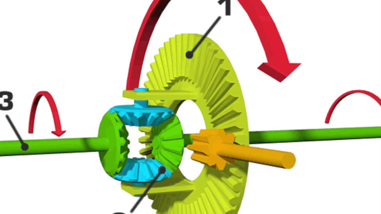 What Does This Thing Do Differentials YouTube