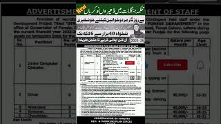 Forest Department Jobs 2025 Apply Online | Pakistan Government job #govtjobs2025