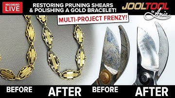 Sharpening Pruning Shears & Polishing a Gold Bracelet on the JOOLTOOL - LIVE with Anie