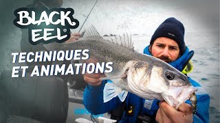 Fiiish Black Eel - Techniques et animations (with english and spanish subtitles)