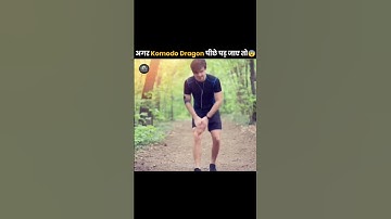 How to Survive a komodo dragon attack #shorts #facts