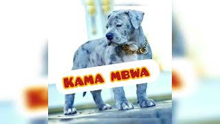 J Hommie -KAMA MBWA(Audio Music)