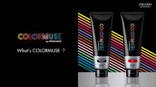 CM 01_What’s COLORMUSE?