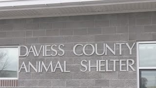 It Takes a Village to take over the Daviess County Animal Shelter