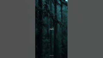 إِنَّ الْمُسْلِمِينَ وَالْمُسْلِمَاتِ وَالْمُؤْمِنِينَ  #القرآن الكريم #ريلز إسلامي ##اكسبلور #quran