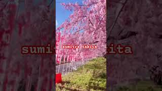 Raag Bhoopali | Flute Music | Banshee | Bansuri #shortsviral