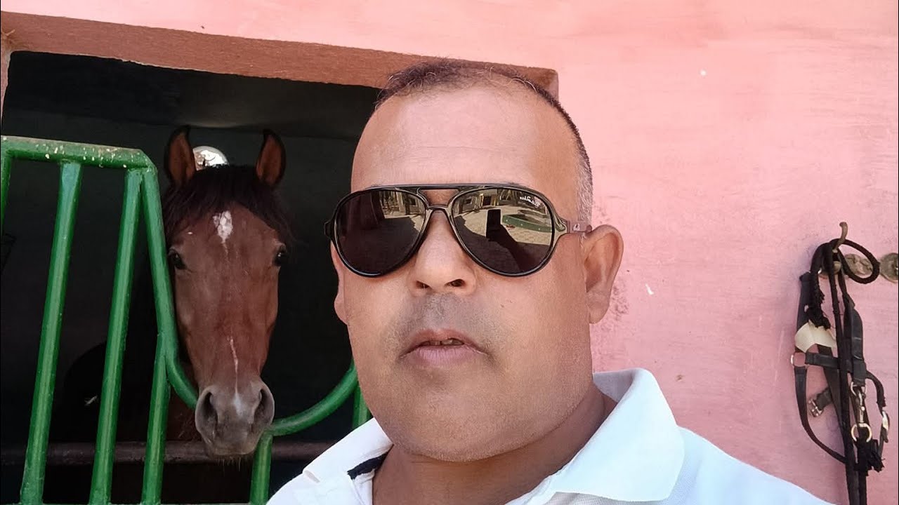 مشروع سياحي للبيع محافظه تيتر قريب مدينه فاس 5 هكتار 0679444657