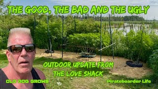 ODG’s The Good, The Bad and The Ugly…Outdoor Update from the Love Shack 
