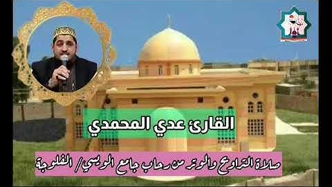 صلاة التراويح والوتر بصوت القارئ عدي المحمدي من رحاب جامع الويسي في مدينة الفلوجة...