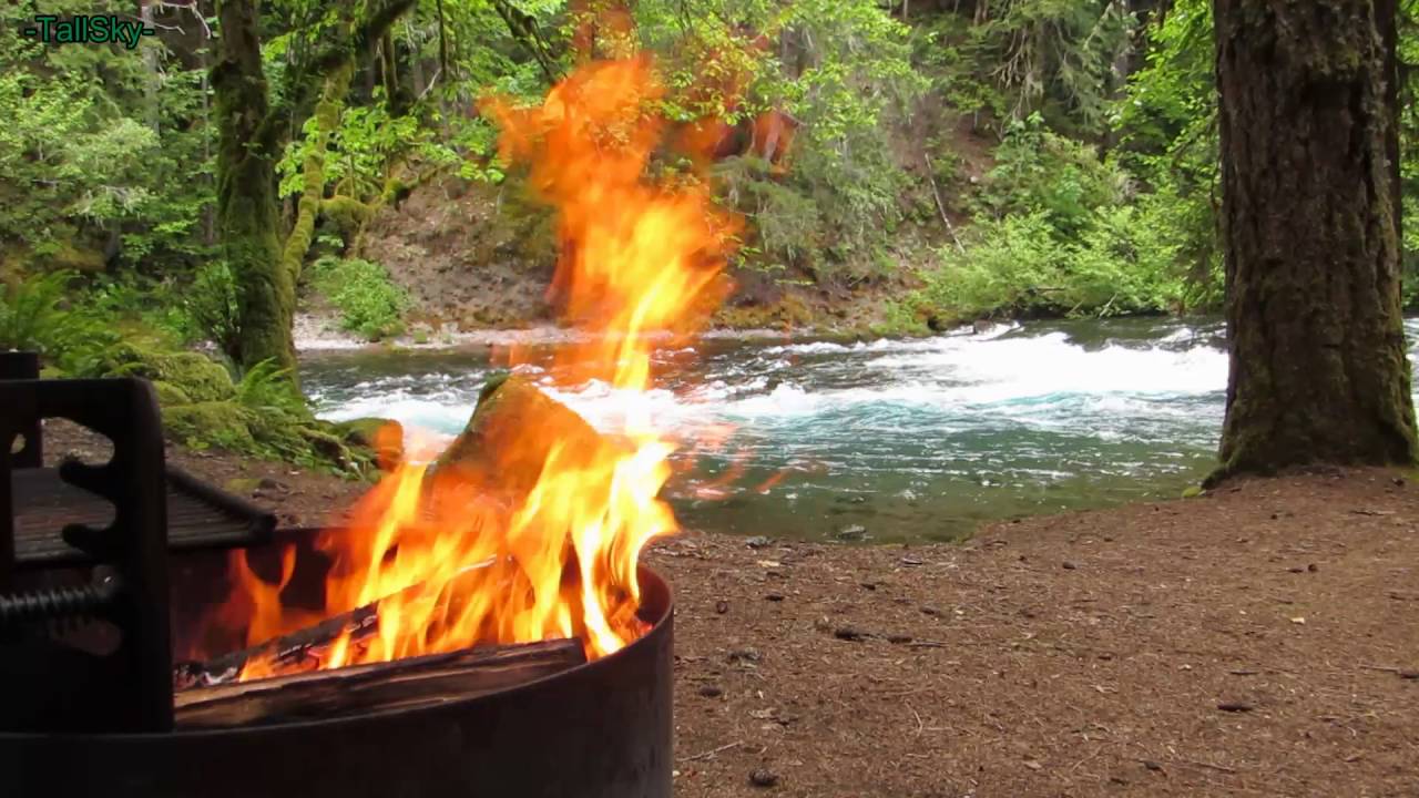 Relaxing Campfire by a River Deep in the Forest 3 hrs Doovi