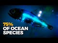 Why is almost all bioluminescence in the ocean