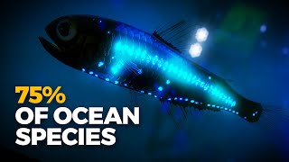 Why Is (Almost) All Bioluminescence in the Ocean?
