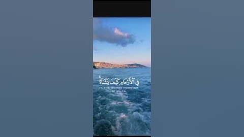 سورة آل عمران إن الله لا يخفى عليه شيء في الارض ولا في السماء