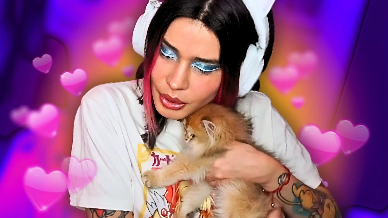 MOLLY PARIÓ UN GATOHIJO EN VIVO😱