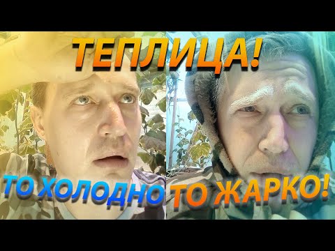 Дешёвая теплица! Как охладить теплицу в жару?Температура в теплице!