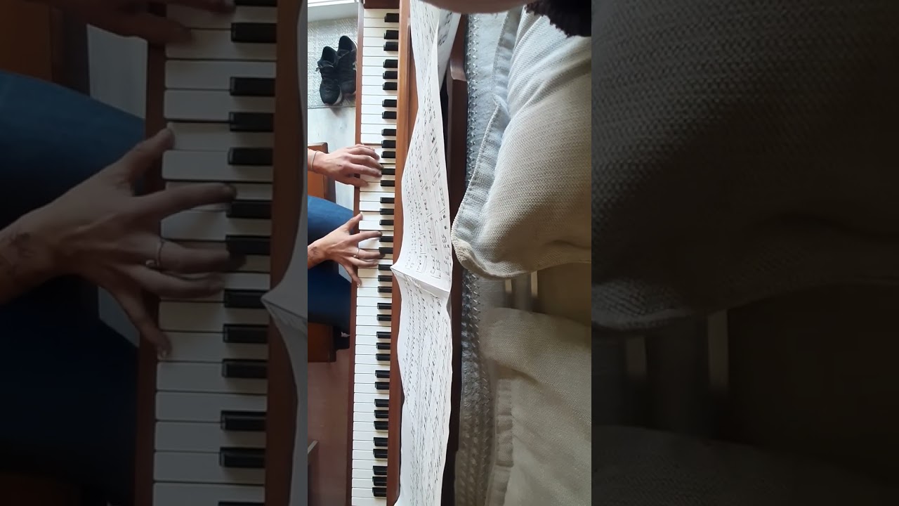 Shepherd's boy, mastered in practice.