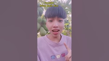 Cận Cảnh Triệu Vân Dọn 5 Con Lính 😌