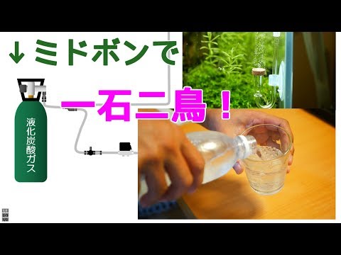 ミドボンで炭酸水と水槽CO2添加、一石二鳥！ - YouTube