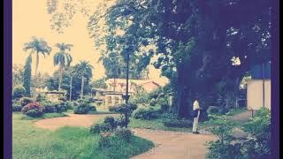 Sibonga Hymn - The Official Hymn of the Municipality of Sibonga