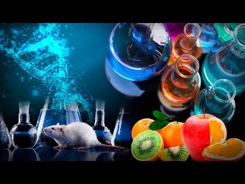 Vídeo: Qual exemplo representa o uso da biotecnologia moderna?