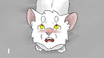 1 week PMV MAP part 3&19 • Blame it on the rain