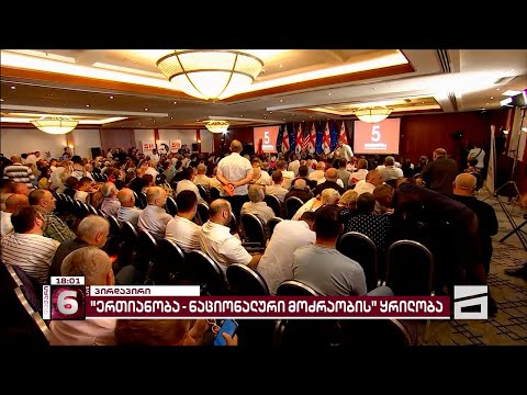 \"ერთიანობა - ნაციონალური მოძრაობის\" ეროვნულ კომიტეტს კობა ნაყოფია უხელმძღვანელებს