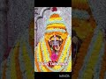 TODAY TARA MAAKE SAJANO HOLO #tarapithtemple #joy #maa #tara ###🙏🙏🙏
