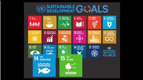 Microbit Overview Explained with Project Examples