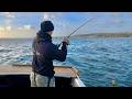 Sea fishing uk  the big fish were biting sea fishing in cornwall  the fish locker