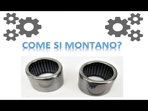 Trasmissione