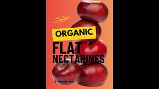 🍑 Organic Flat Nectarines | unique flat shape & vibrant colours 🇪🇸