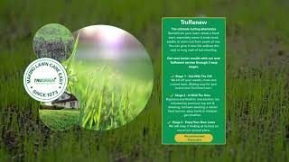 What are the TruGreen Lawn Care Packages?