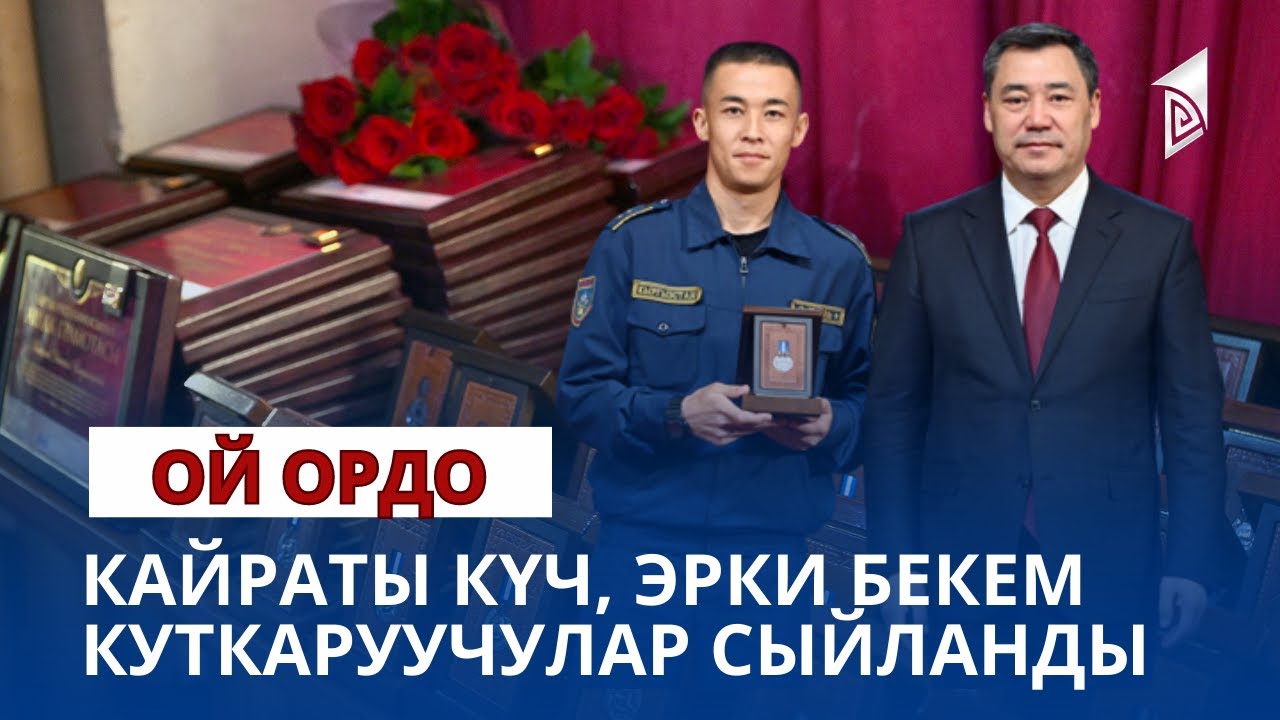 Кыргыз жараны концепциясы мамлекеттик жана коомдук тармактарда ...