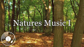 Natures Music I - Sounds of a Forest and Accompanied Meditative Music - 432 hz