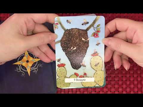 Таро Ведьм ☀️ Witches Wisdom Tarot 🦋. Бюджетная и милая колода, но больше оракул, чем таро.