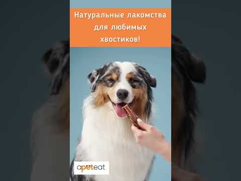 Лакомство для собак бычий корень apeteat
