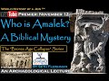 Who Is Amalek A Biblical Mystery Z14 By Seth Fleishman World History By A Jew邃 Who Is Amalek A Biblical Mystery Z14 By Seth Fleishman World History By A Jew邃