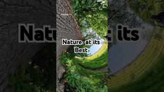 photography  of nature at its  best  #farming# #connectwithnature # #fyp #photography #nature