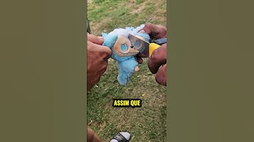 Eles Encontraram Isso Dentro de um Bichinho de Pelúcia 😱🧸