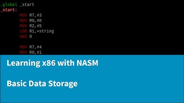 Learning x86 with NASM - Working with Data and Stack Memory