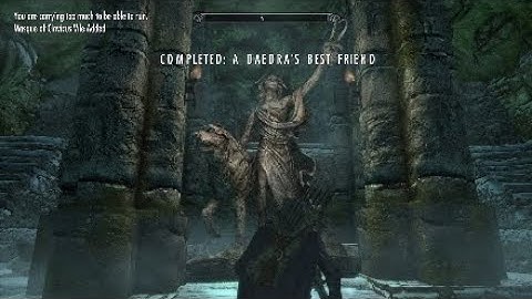 kill Barbas or not - Skyrim